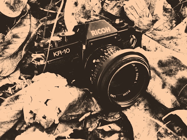 mautifko-g9j7vtaepe-unsplash