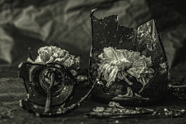 natasha-che-q5gewfhy2a8-unsplash