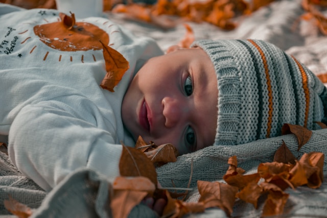 silverius-trandafir-zggeat0gnwm-unsplash