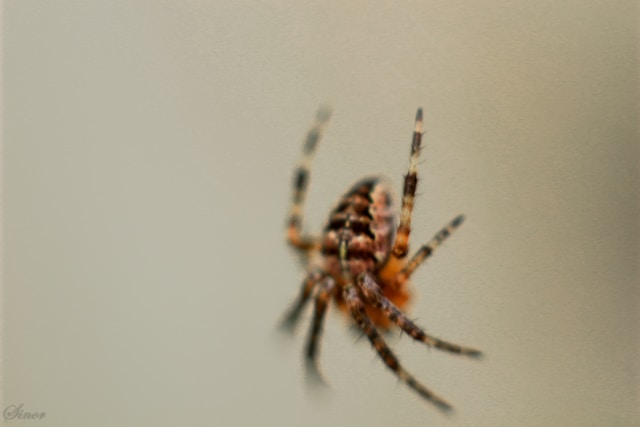 thomasbe-6qpgttziik4-unsplash